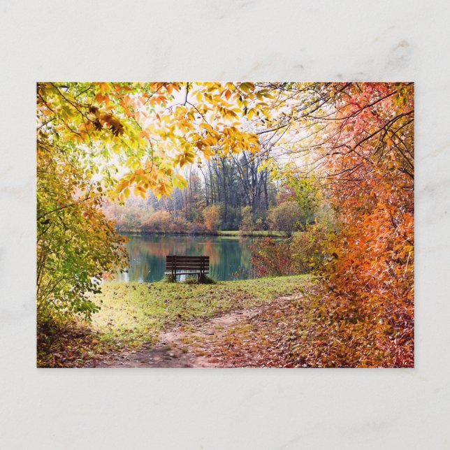 Carte Postale Automne près de Park Pond - Feuilles automnales (Devant)