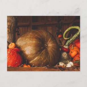 Carte Postale Automne Récolte Citrouille Gourdes Thanksgiving Au