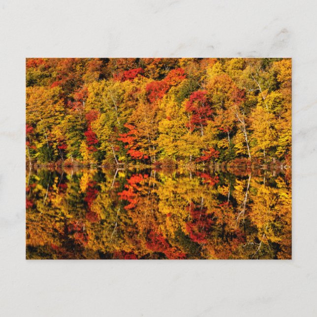 Carte Postale Automne Réflexion sur Russell Pond | New Hampshire (Devant)