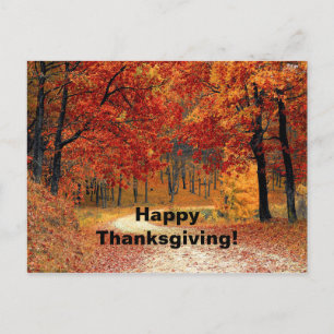 Carte Postale Automne Route des arbres rouges Photo Thanksgiving