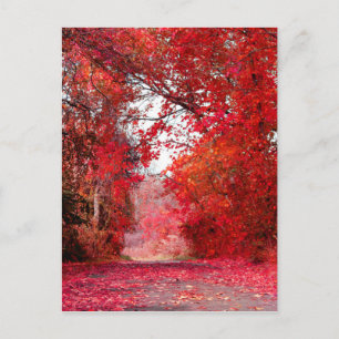 Carte Postale Automne Saison Forêt Parc Douche Feuille Feuilles