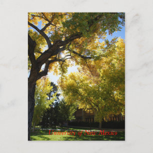 Carte Postale Automne sur Campus II