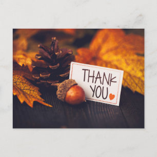 Carte Postale Automne Thanksgiving Photographie Citrouille
