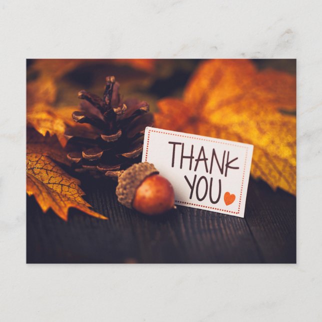 Carte Postale Automne Thanksgiving Photographie Citrouille (Devant)