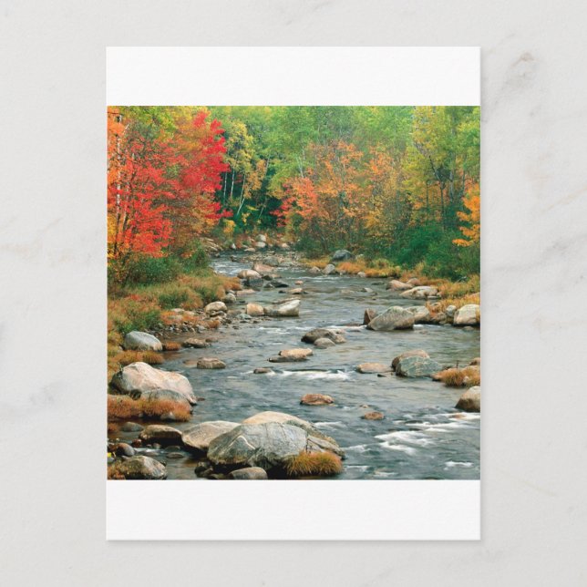 Carte Postale Automne White Mounts New Hampshire (Devant)