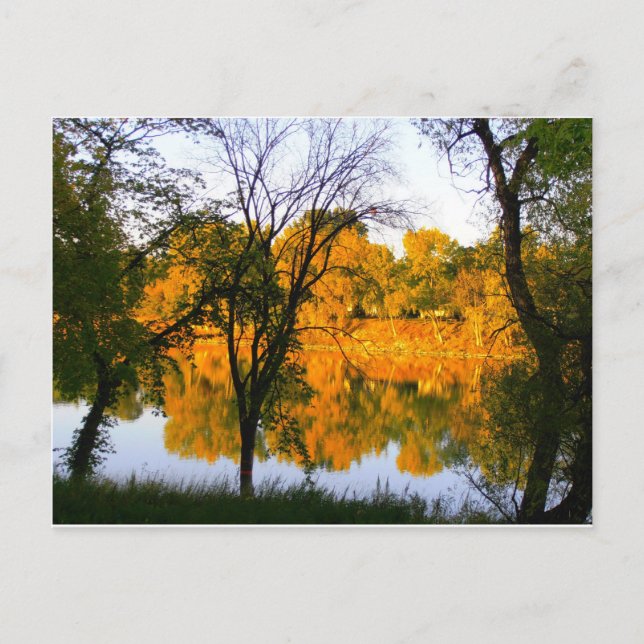 Carte Postale Automne Winnipeg (Devant)