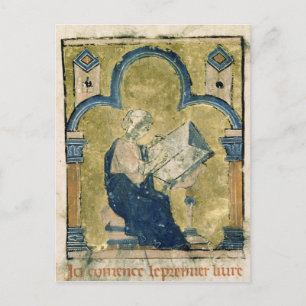 Carte Postale Autoportrait possible de William of Tire