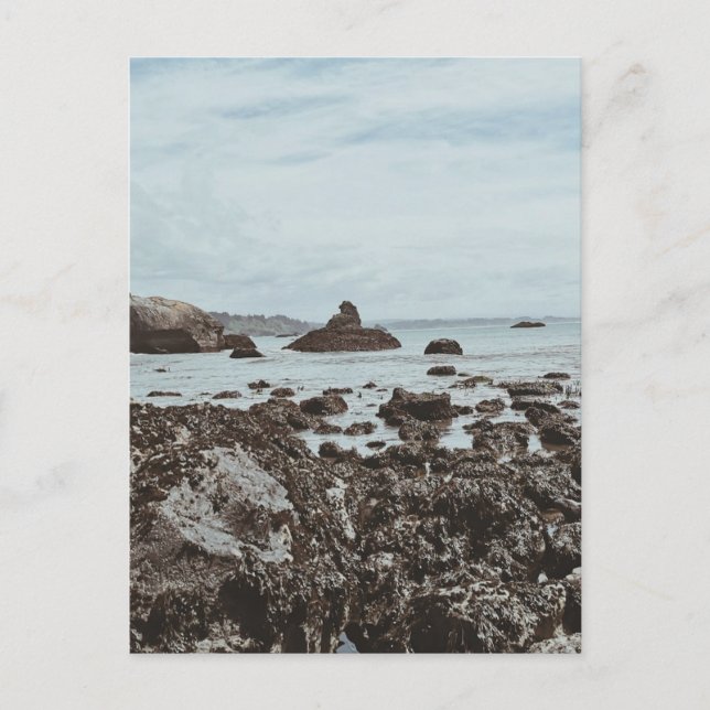 Carte Postale Autoroute 1 Plage rocheuse (Devant)