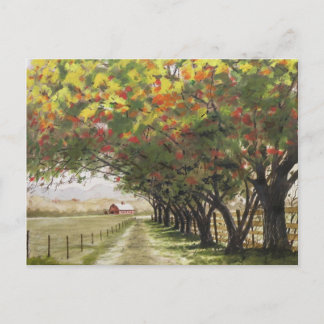 Carte Postale Autoroute d'automne