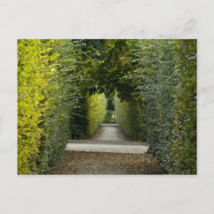 Carte Postale Autriche, Vienne. Baroque de Marie-Thérèse 2
