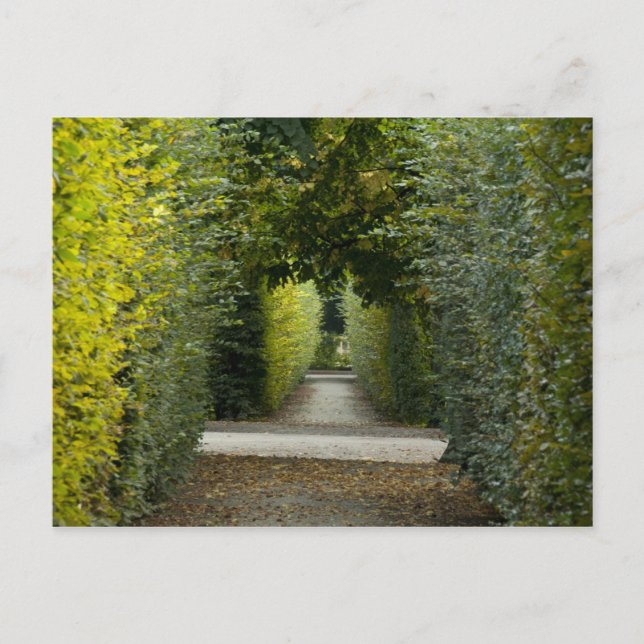 Carte Postale Autriche, Vienne. Baroque de Marie-Thérèse 2 (Devant)
