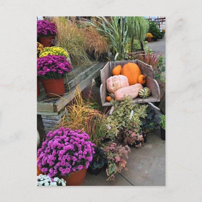 Carte Postale Autumn Decor (Devant)