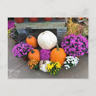 Carte Postale Autumn Decor