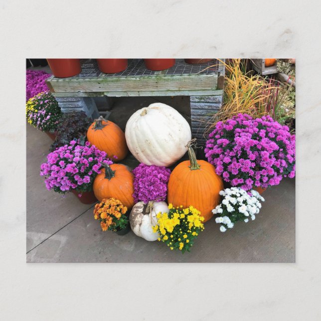Carte Postale Autumn Decor (Devant)