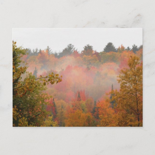 Carte Postale Autumn Field Adirondacks Paysage des arbres (Devant)