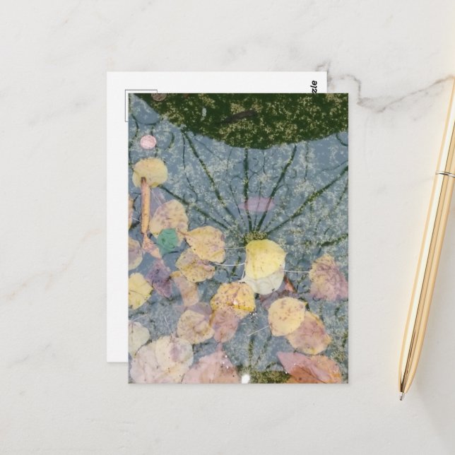 Carte Postale Autumn leaves in a Pella Iowa Fountain Abstract (Devant/Arrière en situation)