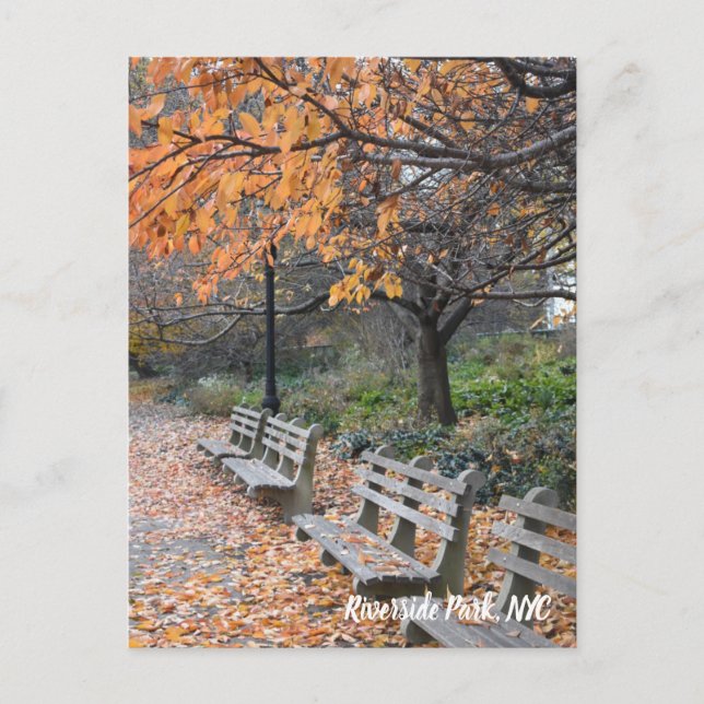 Carte Postale Autumn Leaves Riverside Park New York (Devant)