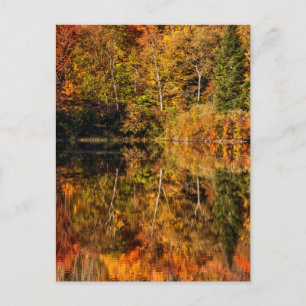 Carte Postale Autumn reflection on Coffin Pond