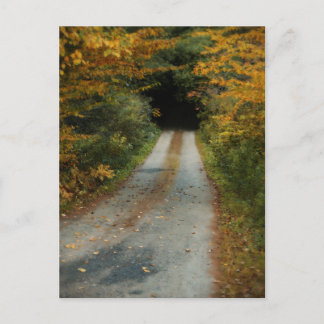 Carte postale Autumn Road