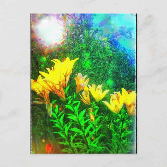 Carte postale aux fleurs jaunes (Devant)