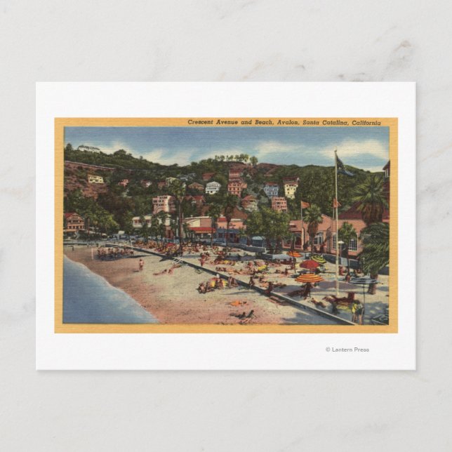 Carte Postale Avalon Vue sur Crescent Ave. & Plage (Devant)