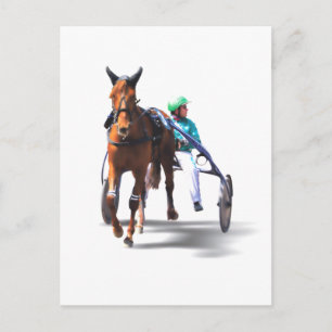 Carte Postale Avant la course