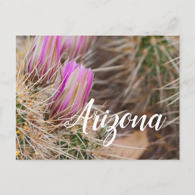 Carte Postale Avant les fleurs, Arizona (Devant)