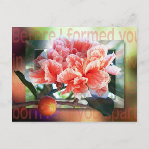 Carte Postale Avant Que Je Vous Aie Formé