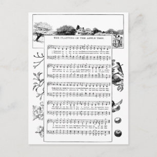 Carte Postale Avantages de la chanson Apple Trees