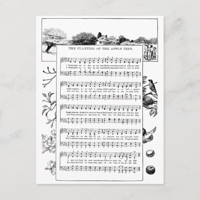 Carte Postale Avantages de la chanson Apple Trees (Devant)