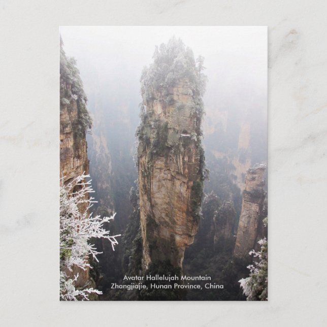 Carte Postale Avatar Hallelujah Mountain, Zhangjiajie, Chine (Devant)