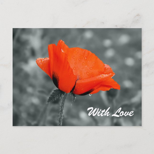Carte postale Avec Amour clé de couleur (Devant)