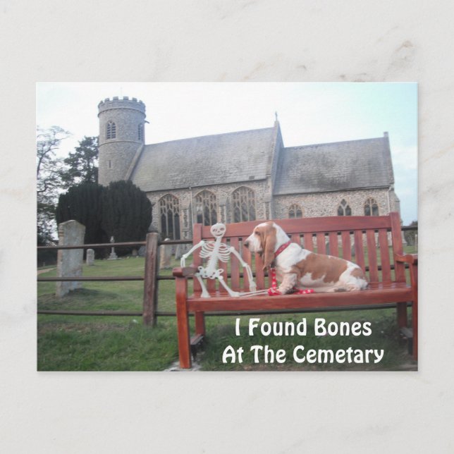 Carte Postale Avec Basset Hound Visite Cemetary (Devant)