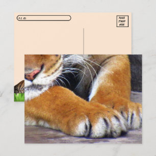 Carte postale avec boîte d'identité