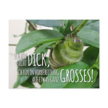 Carte postale avec chenille et humour 