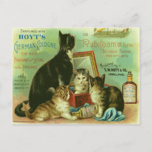 Carte postale avec illustration Vintage de chatons