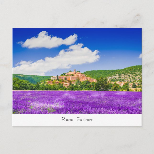 Carte postale avec lavande à Banon Provence (Devant)