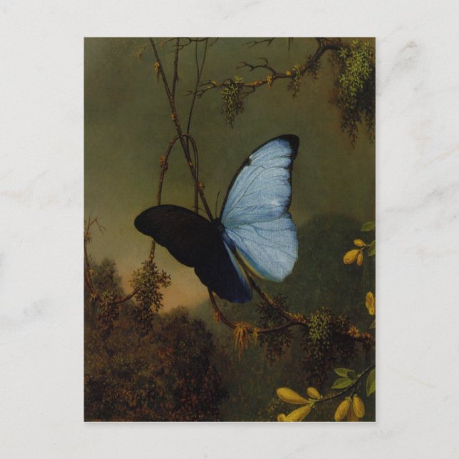 Carte Postale Avec Martin Johnson Peinture Heade (Devant)