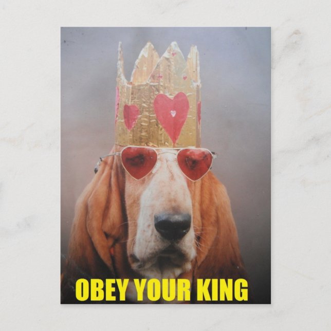 Carte postale avec roi basset hound (Devant)