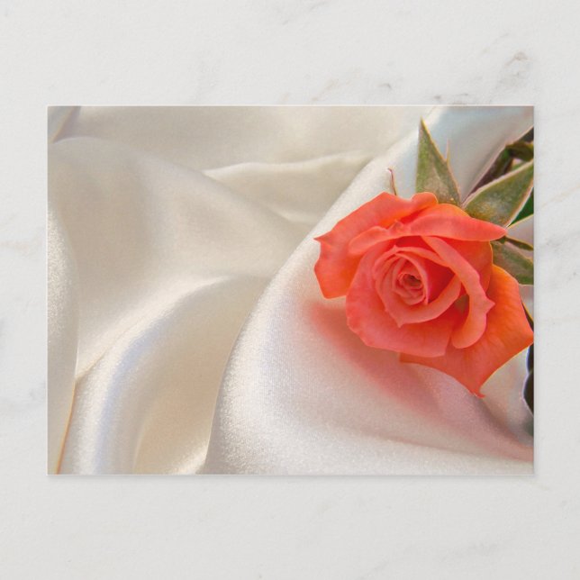 Carte postale avec rose (Devant)