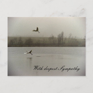 Carte Postale Avec une profonde sympathie