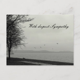 Carte Postale Avec une profonde sympathie