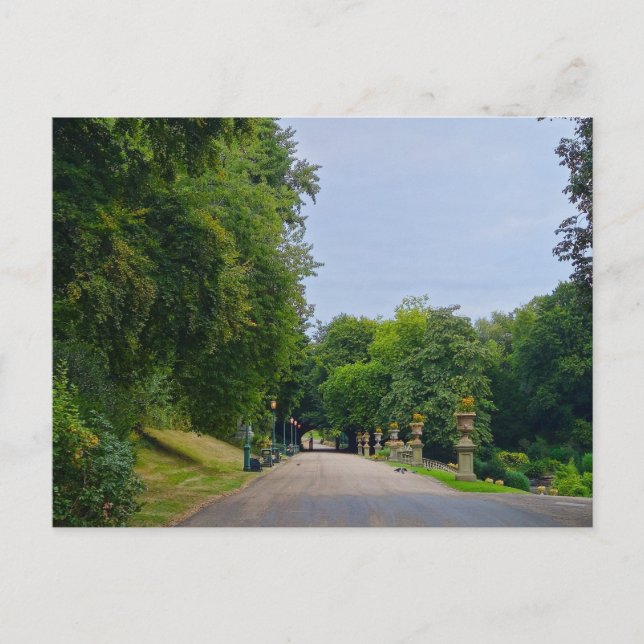 Carte Postale Avenham et Miller Park (Devant)