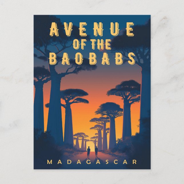 Carte Postale Avenue des Baobabs Madagascar - Afrique rétro (Devant)