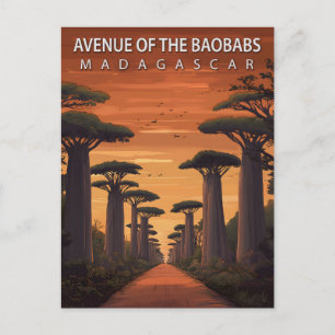 Carte Postale Avenue des Baobabs vintage Madagascar Voyage