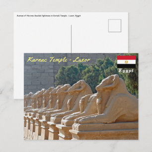 Carte Postale Avenue des sphinx dans le temple de Karnak - Egypt