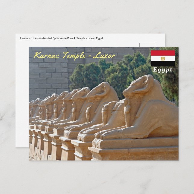 Carte Postale Avenue des sphinx dans le temple de Karnak - Egypt (Devant / Derrière)