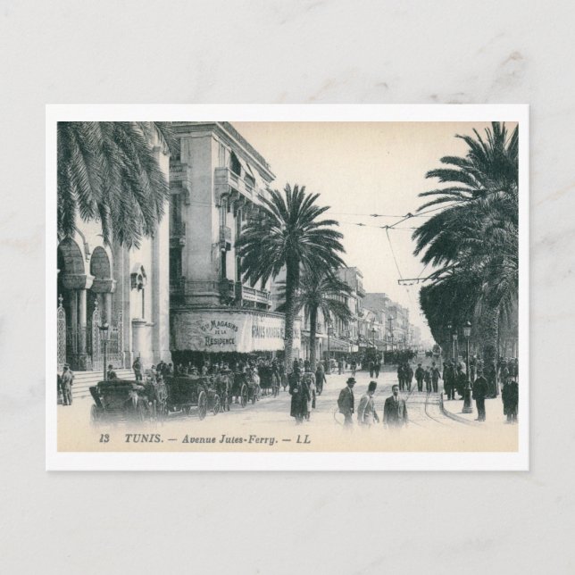 Carte Postale Avenue Jules Ferry, Tunis, Tunisie Vintage (Devant)