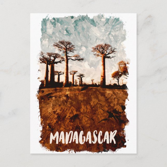 Carte Postale Avenue Madagascar du paysage des baobabs (Devant)