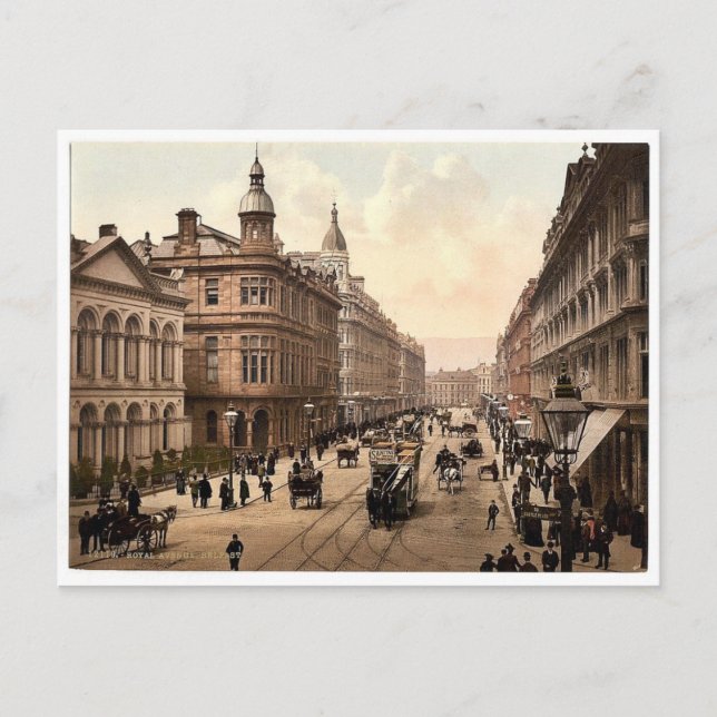 Carte Postale Avenue Royal. Belfast. Co. Antrim, Irlande rare Ph (Devant)